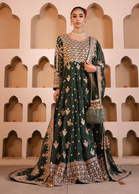 Rani By Haseen's Collection