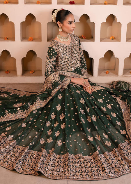 Rani By Haseen's Collection