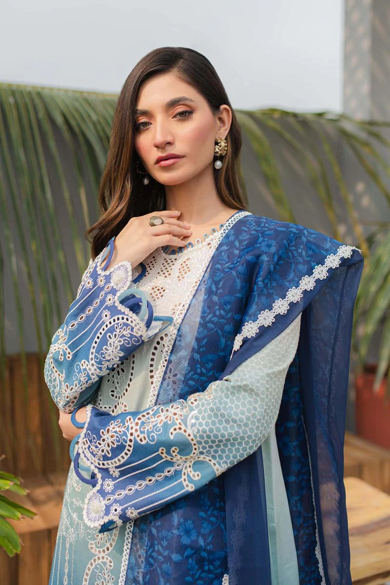 Embroidered Lawn Double Shaded Collection